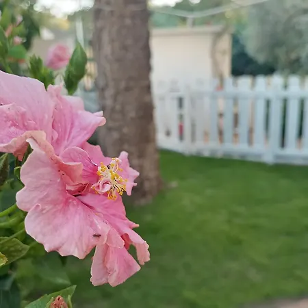 Casa Al Mare Con Giardino Privato Sant'Andrea (Sardinia)