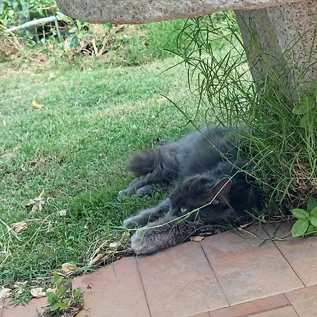 아파트 Casa Al Mare Con Giardino Privato *