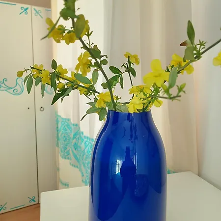 Casa Al Mare Con Giardino Privato