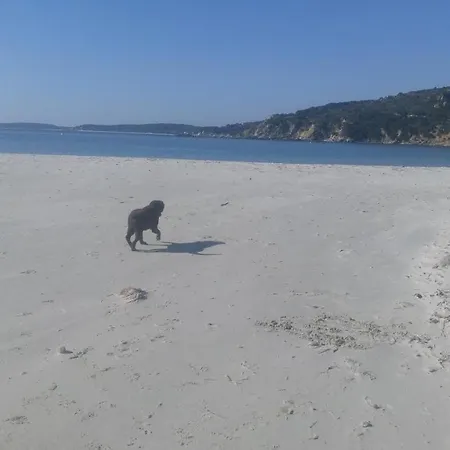 公寓 Casa Al Mare Con Giardino Privato *