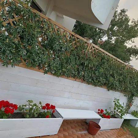 公寓 Casa Al Mare Con Giardino Privato Sant'Andrea (Sardinia)