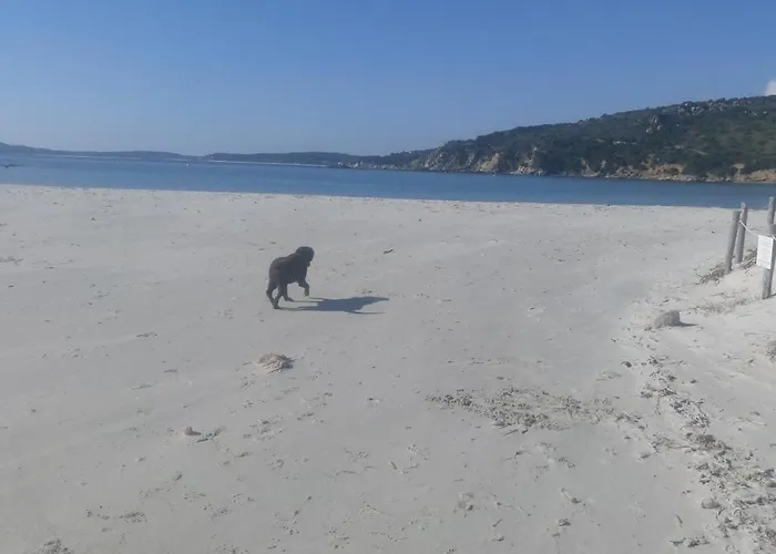 Daire Casa Al Mare Con Giardino Privato *