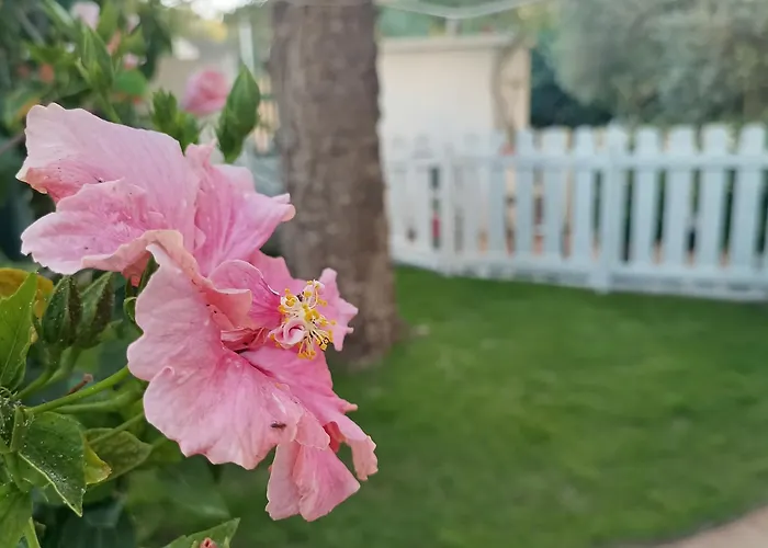 Casa Al Mare Con Giardino Privato Sant'Andrea (Sardinia)