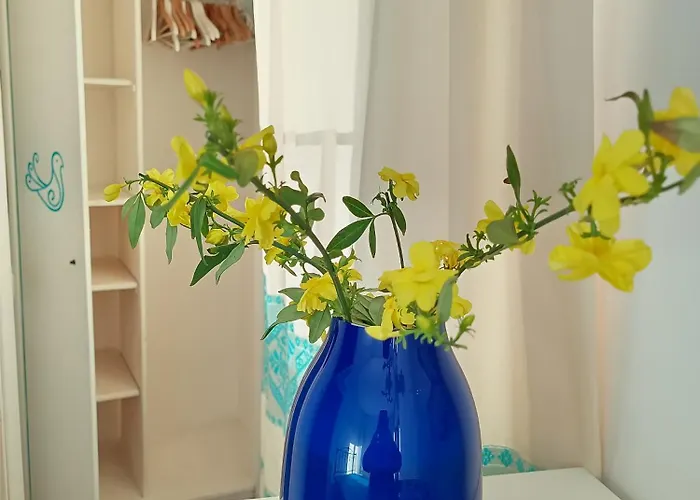 Daire Casa Al Mare Con Giardino Privato Sant'Andrea (Sardinia)